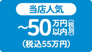 【当店人気】～50万円（税別）以内（税込55万円）